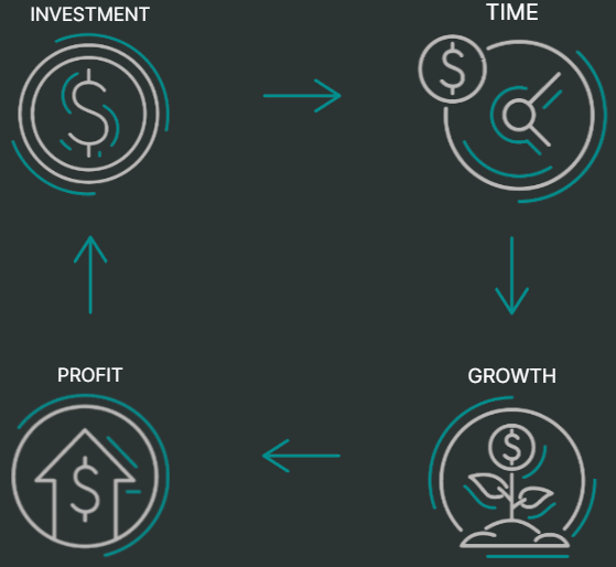 Investment, Time, Growth and Profit